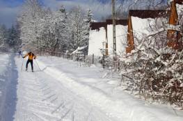 Tylicz Atrakcja Szkoła narciarstwa biegowego Studio Sport